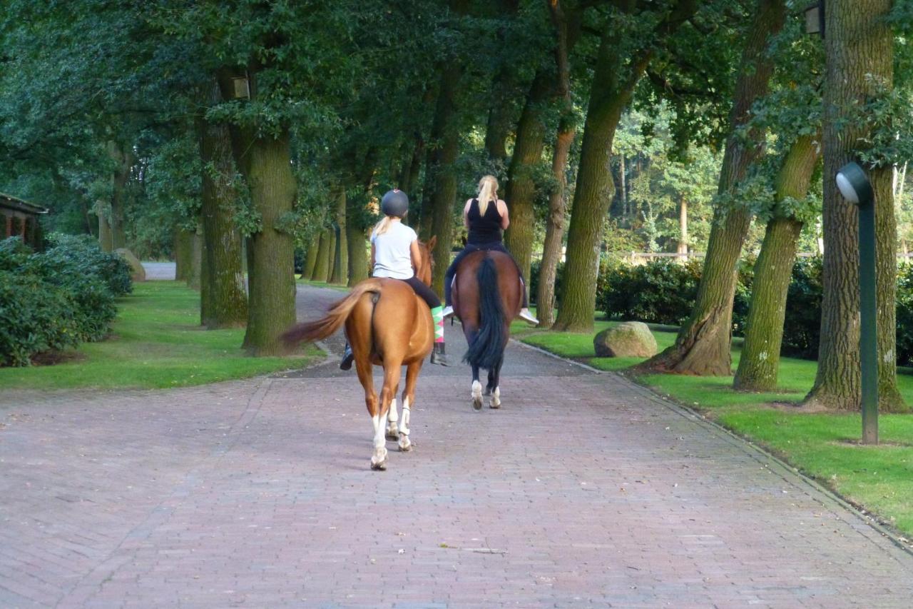 Grosse Ferienwohnung, Auf Bauernhof Mit Ponys Und Pferden, Laendlich Und Ruhig, Naehe Duemmer See Holdorf Exterior foto